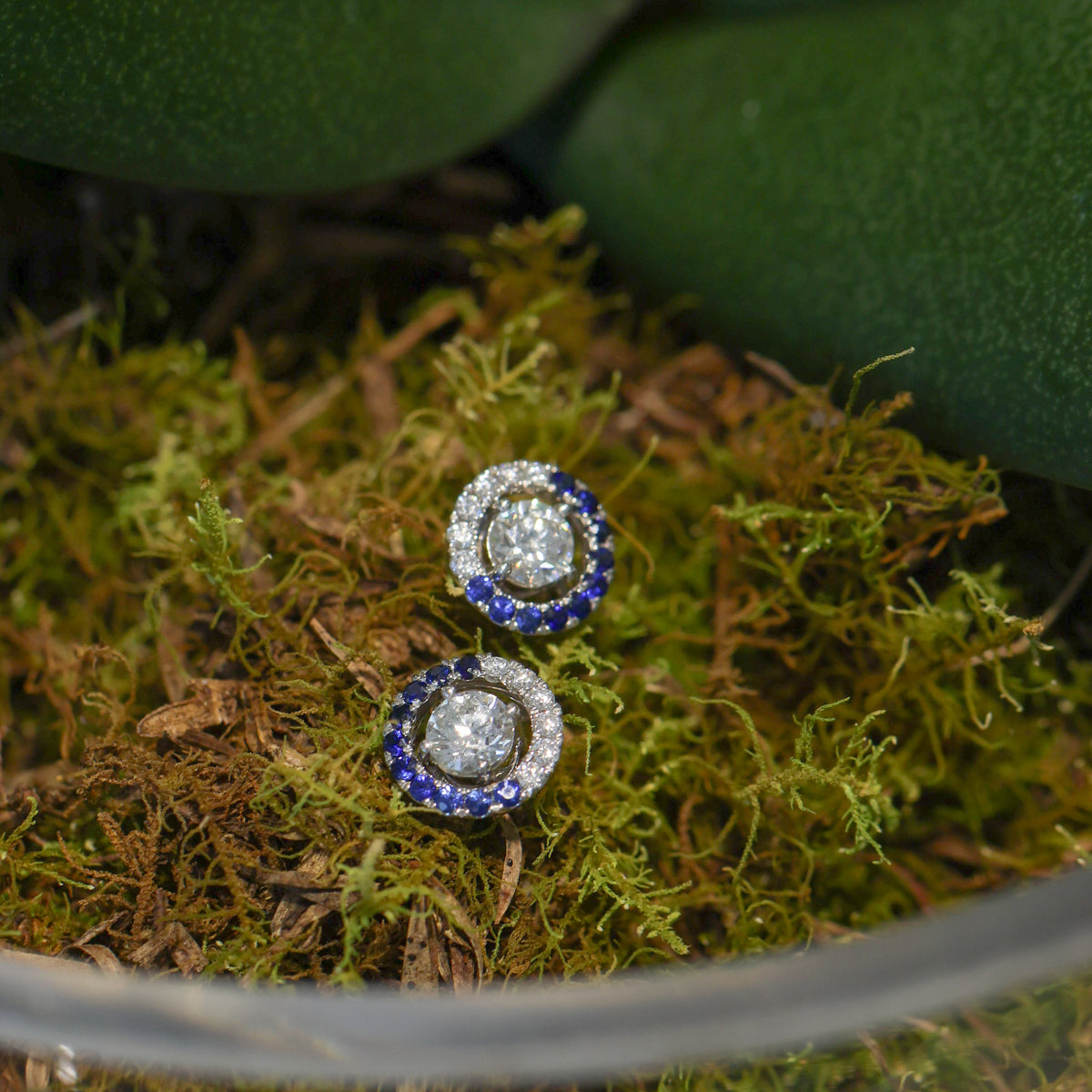 18CT WHITE GOLD SAPPHIRE & DIAMOND REMOVABLE HALO'S