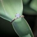 The Diamond Solitaire Engagment Ring - Round