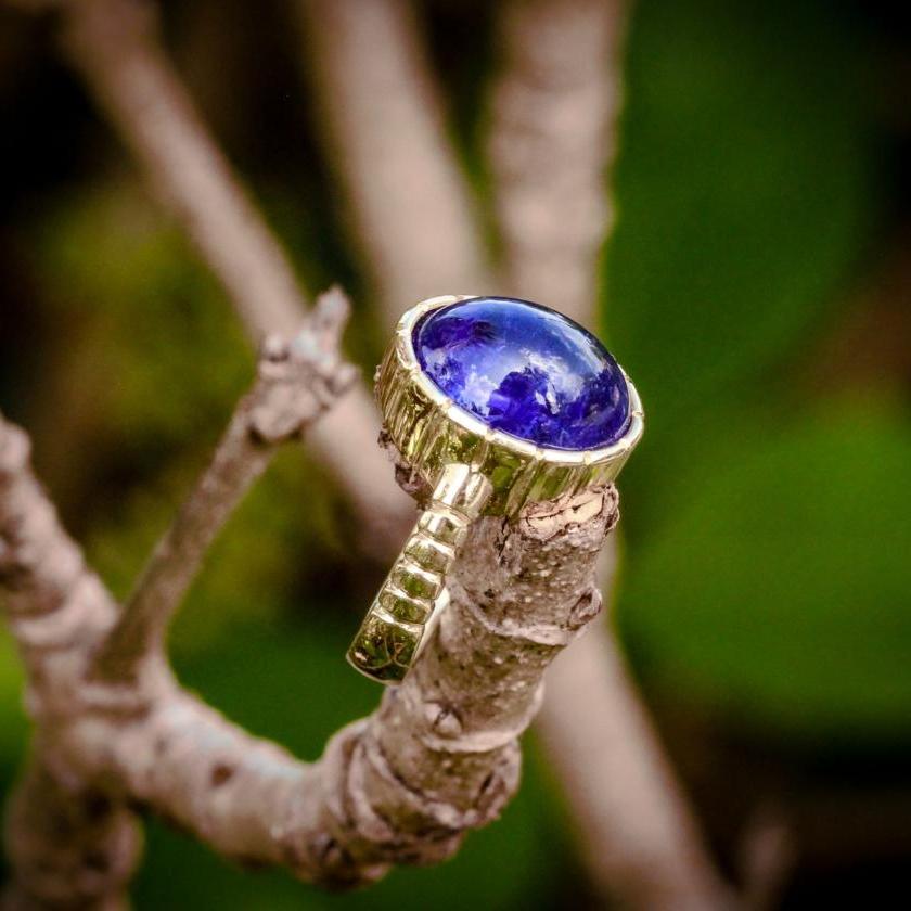 Tanzanite Dream: The Midnight Jewel