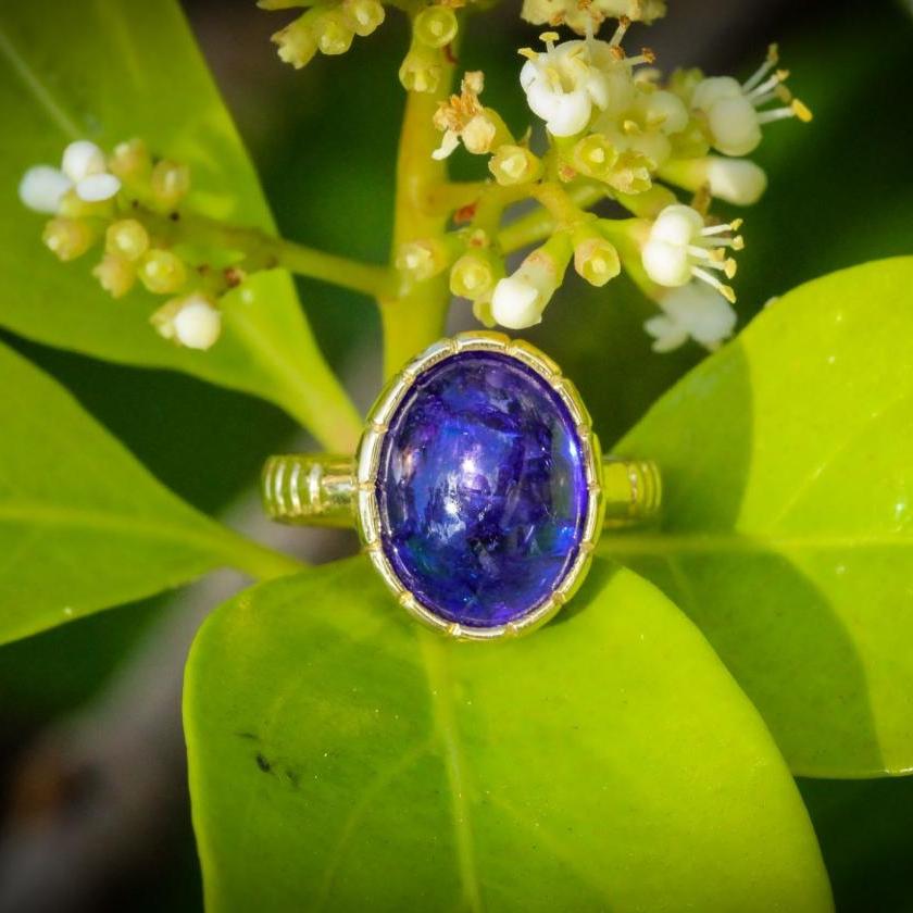 Tanzanite Dream: The Midnight Jewel