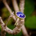 Tanzanite Dream: The Midnight Jewel