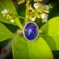 Tanzanite Dream: The Midnight Jewel