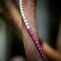 18ct White Gold Bracelet with Pink Sapphires & Diamonds